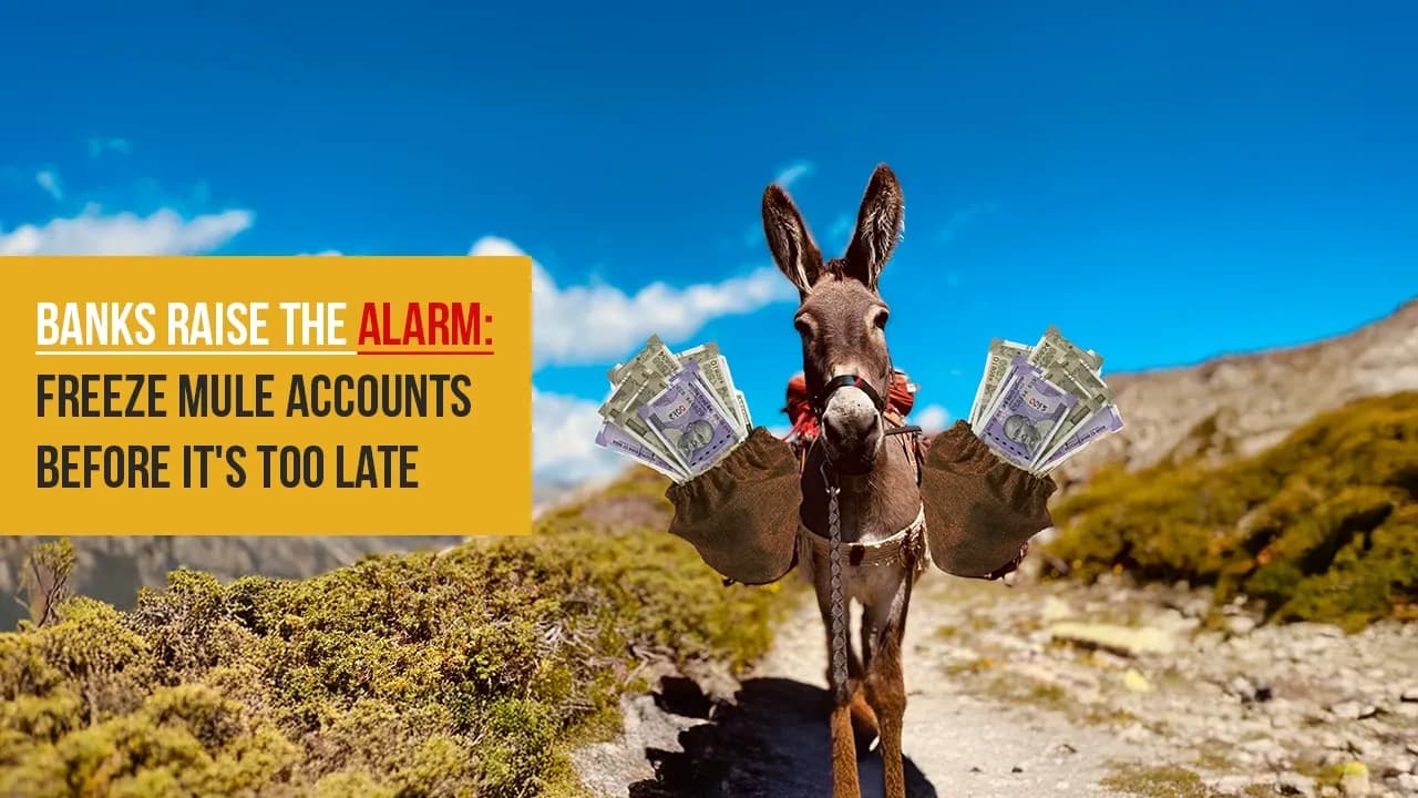 Whack-a-Mule: Banks Seek Power to Freeze Fraudulent Accounts in Real-Time