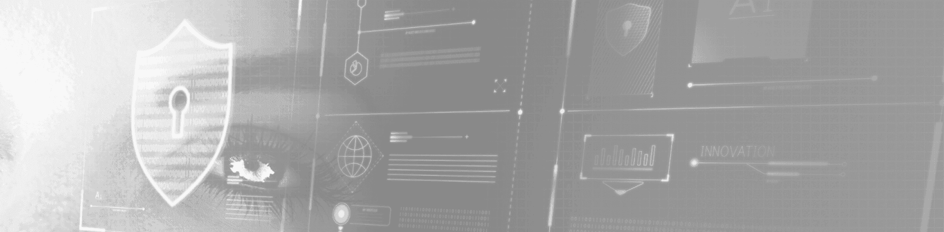 Enterprise Cybersecurity Assessment