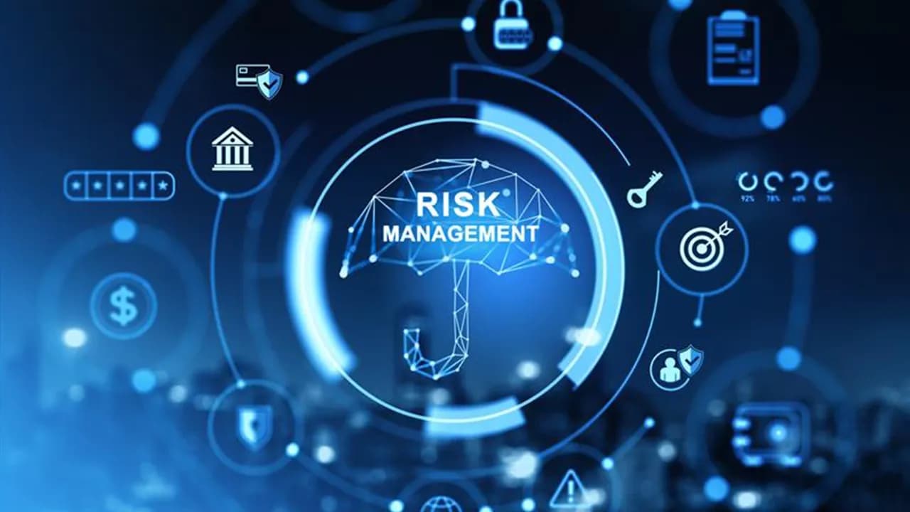 Mastering Risk Management in a Dynamic World: Expert Approaches and 2025 Case Studies